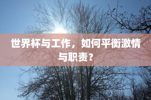 世界杯与工作，如何眉山市正发家政服务有限公司平衡激情与职责？