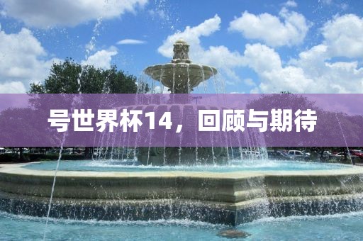 号世界杯14，回顾与期待眉山市正发家政服务有限公司