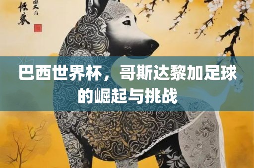 巴西世界杯，哥斯达黎加足球的崛起与挑战