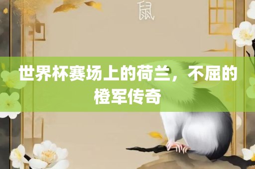 世界杯赛场上的荷兰，不屈的橙军传奇眉山市正发家政服务有限公司