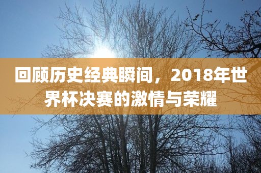 世界杯决赛 第12页