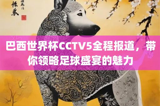 巴西世界杯CCTV5全程报道，带你领略足球盛宴的魅力