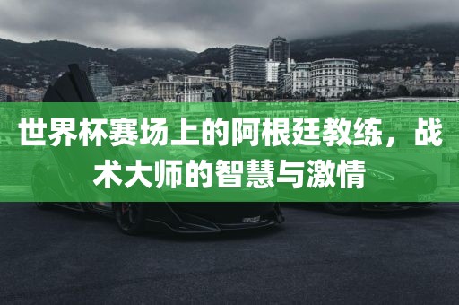 世界杯赛场上的阿根廷教练，战术大师的智慧与激情