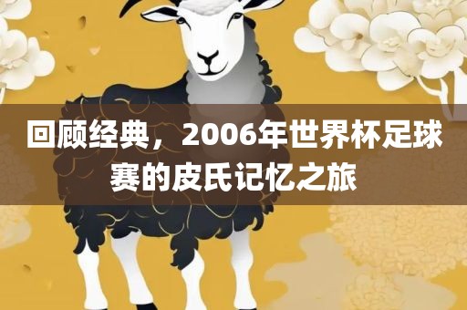 回顾经典，2006年世界杯足球赛的皮氏记忆之旅