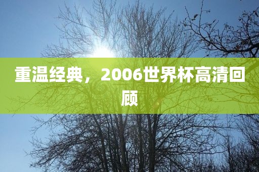 重温经典，2006世界杯高清回顾