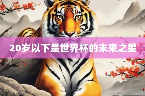 20岁以下是世界杯的未来之星