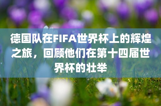 德国队在FIFA世界杯上的辉煌之旅，回顾他们在第十四届世界杯的壮举