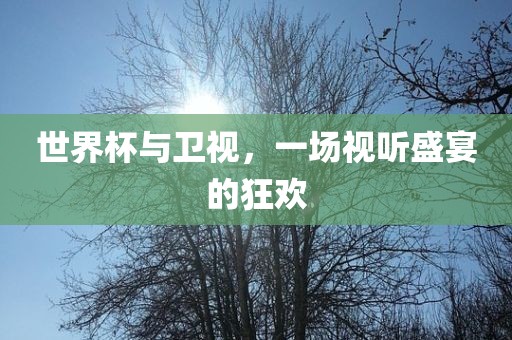 世界杯与卫视，一场视听盛宴的狂欢