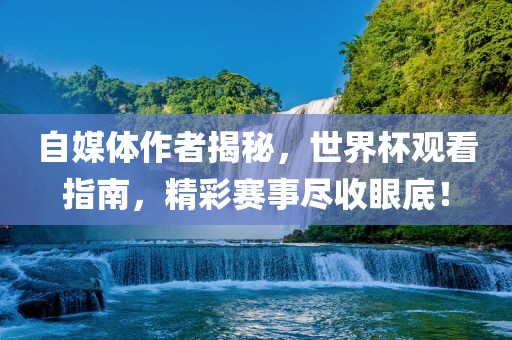 自媒体作者揭秘，世界杯观看指南，精彩赛事尽收眼底！