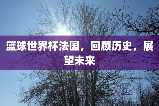 篮球世界杯法国，回顾历史，展望未来