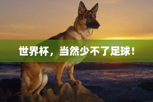 世界杯，当然少不了足球！