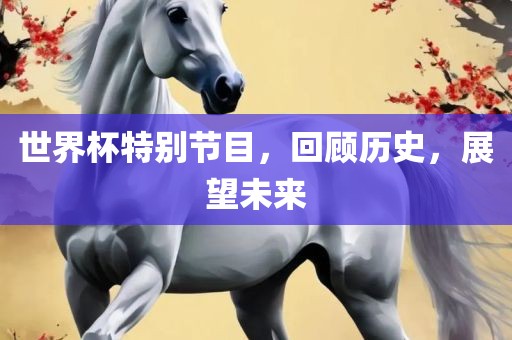 世界杯特别节目，回顾历史，展望未来