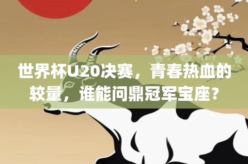 世界杯U20决赛，青春热血的较量，谁能问鼎冠军宝座？