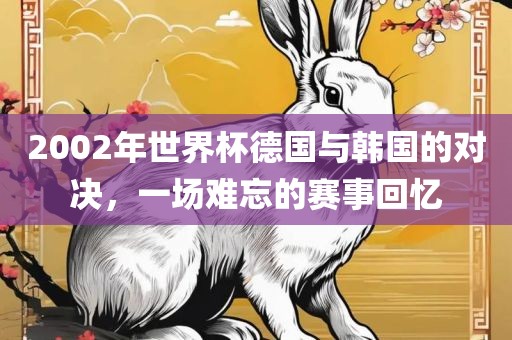 2002年世界杯德国与韩国的对决，一场难忘的赛事回忆