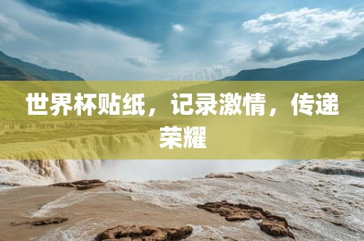 世界杯贴纸，记录激情，传递荣耀