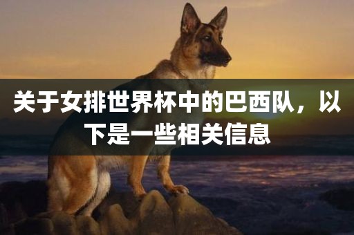 关于女排世界杯中的巴西队，以下是一些相关信息