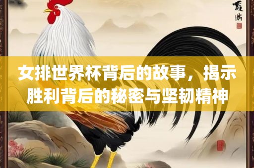 女排世界杯背后的故事，揭示胜利背后的秘密与坚韧精神