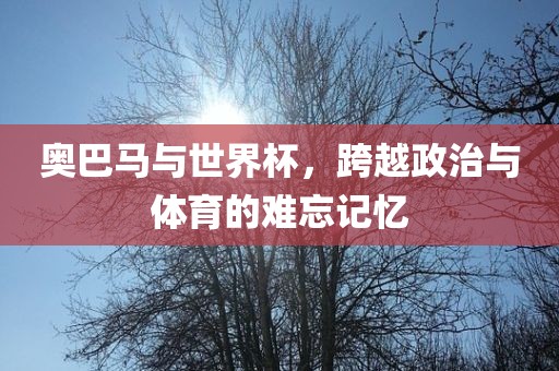 奥巴马与世界杯，跨越政治与体育的难忘记忆