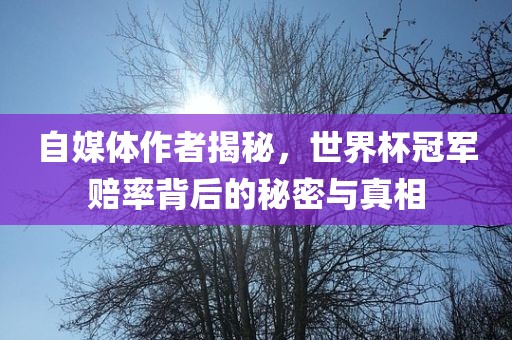 自媒体作者揭秘，世界杯冠军赔率背后的秘密与真相眉山市正发家政服务有限公司