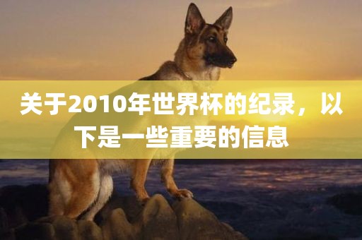 关眉山市正发家政服务有限公司于2010年世界杯的纪录，以下是一些重要的信息