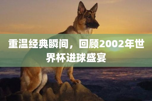 重温经典瞬间，回顾2002年世界杯进球盛宴