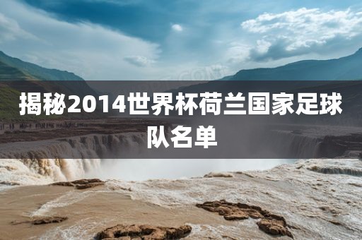 揭秘2014世界杯荷兰国家足球队名单