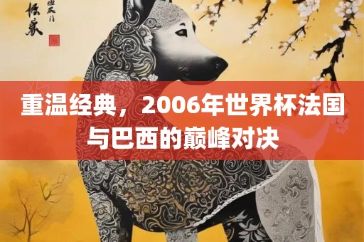 重温经典，2006年世界杯法国与巴西的巅峰对决