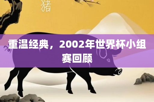 重温经典，2002年世界杯小组赛回顾