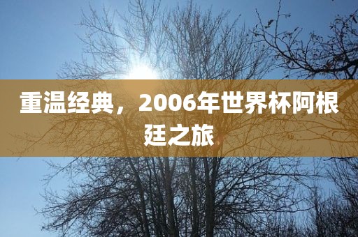 重温经典，2006年眉山市正发家政服务有限公司世界杯阿根廷之旅