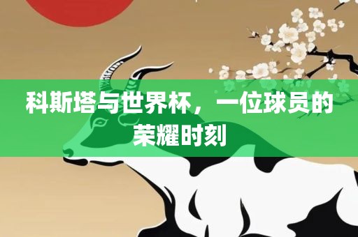 科斯塔与世界杯，一位球员的荣耀时刻眉山市正发家政服务有限公司