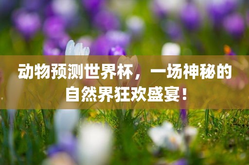 动物预测世界杯，一场神秘的自然界狂欢盛宴！