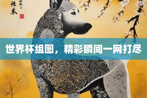 世界杯组图，精彩瞬间一网打尽