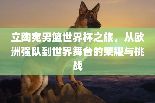 立陶宛男篮世界杯之旅，从欧洲强队到世界舞台的荣耀与挑战