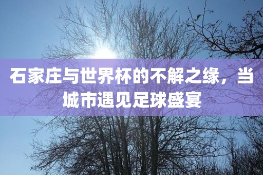 石家庄与世界杯的不解之缘，当城市遇见足球盛宴眉山市正发家政服务有限公司