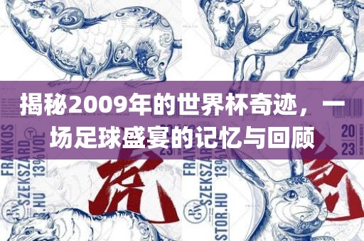 揭秘2009年的世界杯奇迹，一场足球盛宴的记忆与回顾