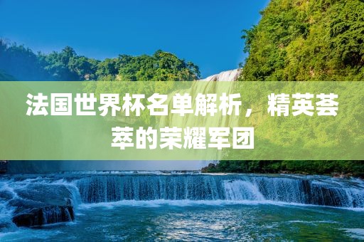 法国眉山市正发家政服务有限公司世界杯名单解析，精英荟萃的荣耀军团