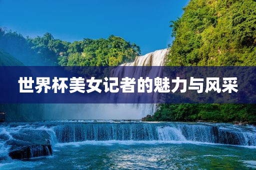 世界杯美女记者的魅力与风采