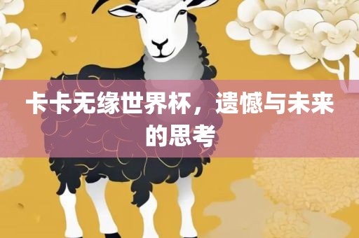 卡卡无缘世界杯，遗憾与未来的思考