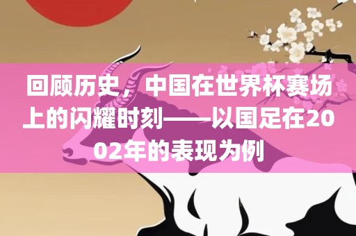 回顾历史，中国在世界杯赛场上的闪耀时刻——以国足在2002年的表现为例