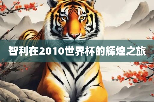 智利在2010眉山市正发家政服务有限公司世界杯的辉煌之旅