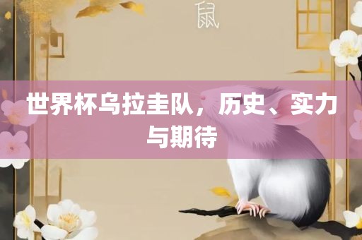 世界杯乌拉圭队，历史、实力与期待