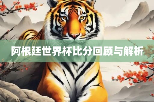 阿根廷世界杯比分回顾与解析