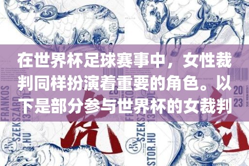 在世界杯足球赛事中，女性裁判同样扮演着重要的角色。以下是部分参与世界杯的女裁判