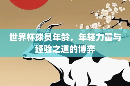 世界杯球员年龄，年轻力量与经验之道的博弈