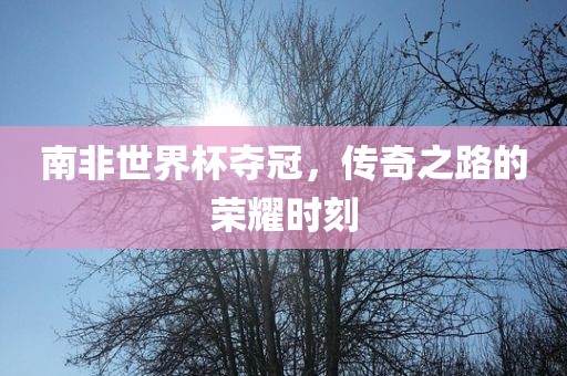 南非世界杯夺冠，传奇之路的荣耀时刻