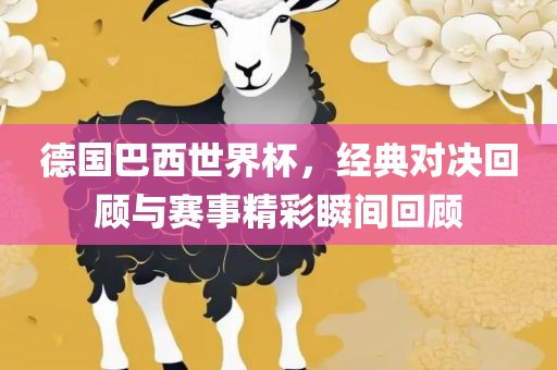 德国巴西世界杯，经典对决回顾与赛事精彩瞬间回顾眉山市正发家政服务有限公司