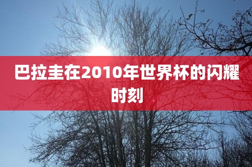巴拉圭在2010年世界杯的闪耀时刻