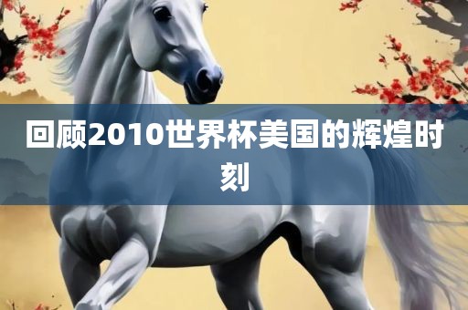 回顾2010世界杯美国的辉煌时刻眉山市正发家政服务有限公司