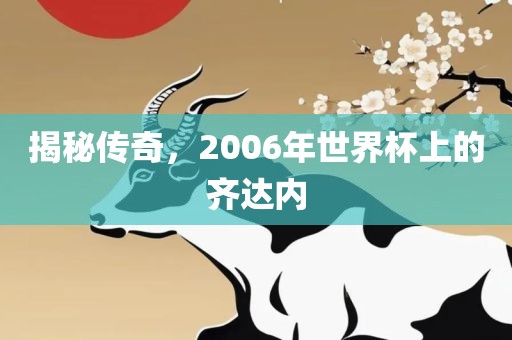 揭秘传奇，2006年世界杯上的齐达内