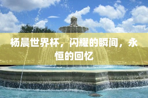 杨晨世界杯，闪耀的瞬间，永恒的回忆